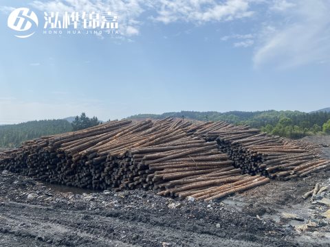 河道打樁為什么選擇松木樁來處理軟地基？-松木樁施工使用范圍