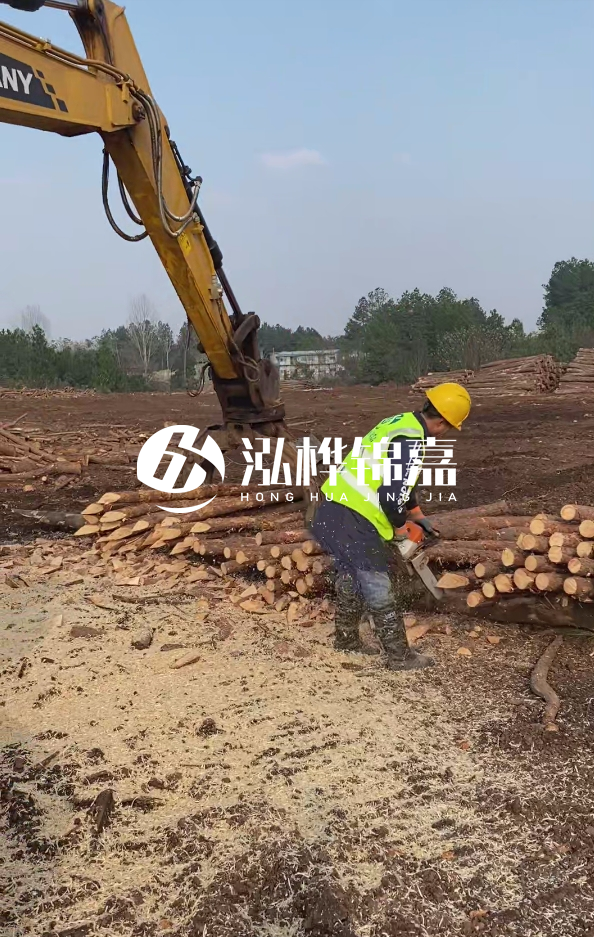 銅陵挖機打木樁專業(yè)施工-打松木樁一般算米還是算根？