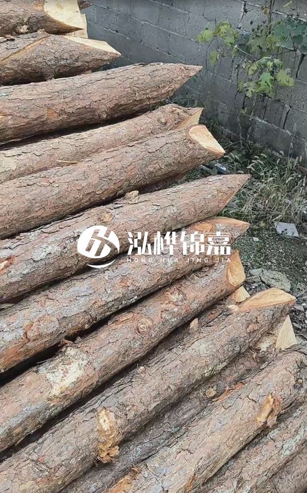 松木樁哪里能大量供應(yīng)？4米20公分松木樁價格是多少？